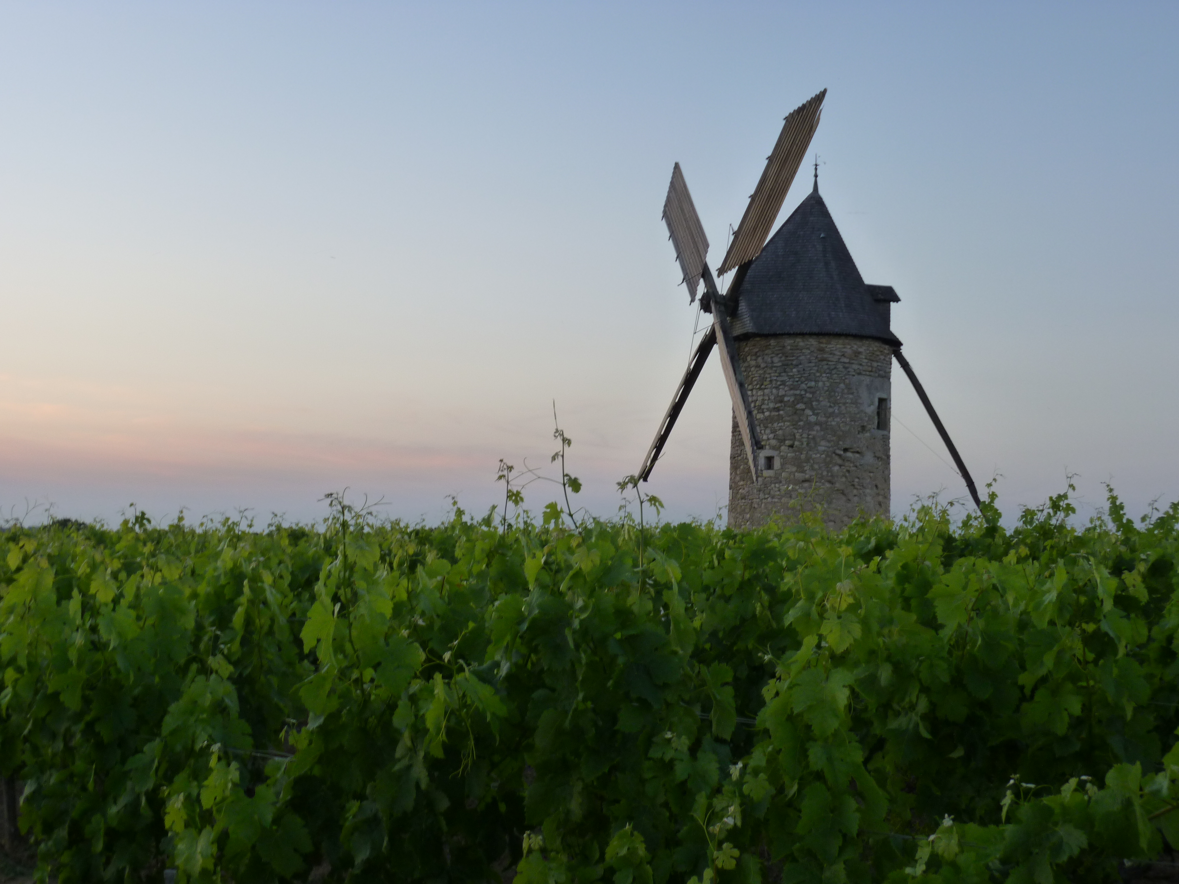 Chateau Tour Haut Caussan Medoc 2016