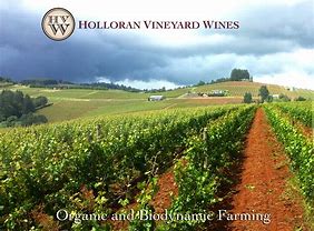 Stafford Hills Willamette Valley Pinot Noir 2022